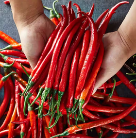 红线椒200g  每份 ±10g买放心菜就上瑞和泰