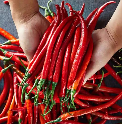 红线椒200g  每份 ±10g买放心菜就上瑞和泰 商品图0