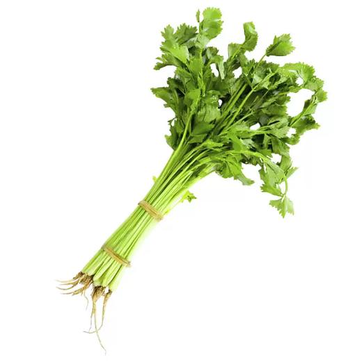 嫩嫩芹苗350g 单份  ±20g 买放心菜就上瑞和泰 商品图0