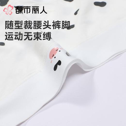 都市丽人内裤女士内裤60支棉莫内裤木代尔内裤纤柔绵内裤LKC5C5 商品图4