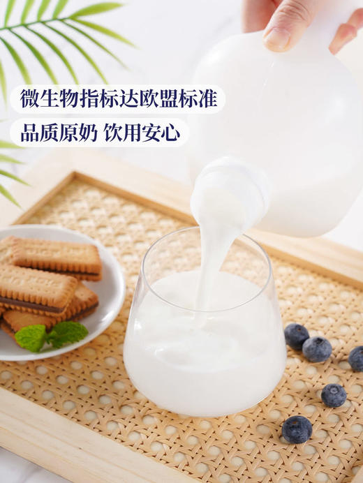 MM 山姆 Member's Mark 鲜牛奶 全脂巴氏杀菌乳 2L 商品图4