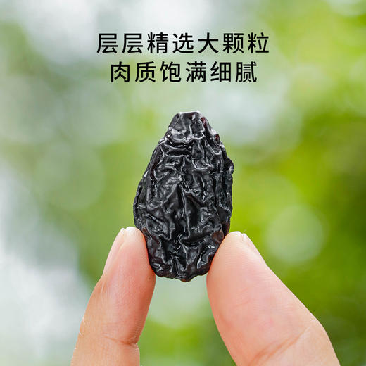 北纬纯净食品|新疆天山香妃西梅干350g 商品图3