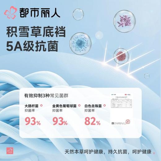 都市丽人内裤女士内裤双拉内裤塑身中腰平角内裤美体纤塑内裤LPC9C8 商品图5