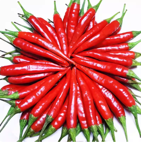 昆明米椒100g  ±10g买放心菜就上瑞和泰