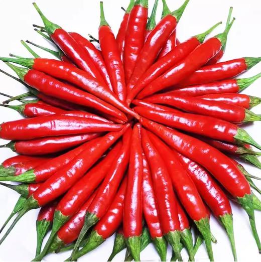 昆明米椒100g  ±10g买放心菜就上瑞和泰 商品图0