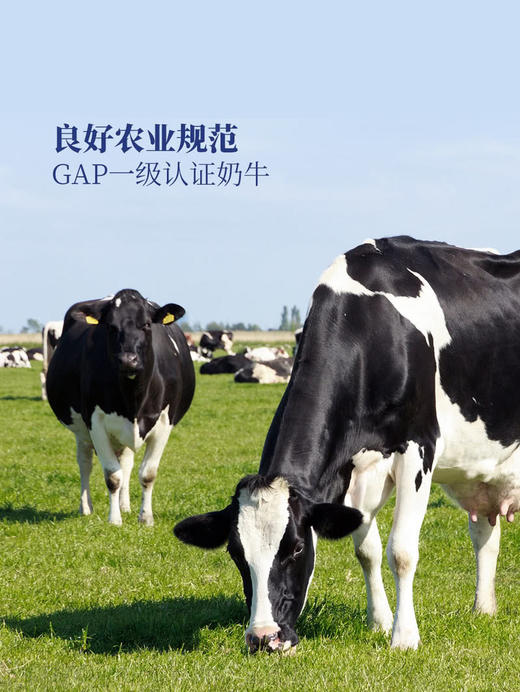 MM 山姆 Member's Mark 高钙鲜牛奶 2*1.89L 商品图3