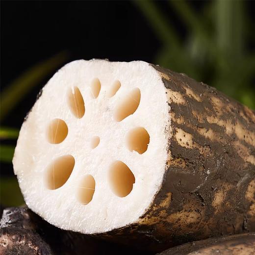 洪湖粉藕500g 单袋  ±20g 买放心菜就上瑞和泰 商品图0