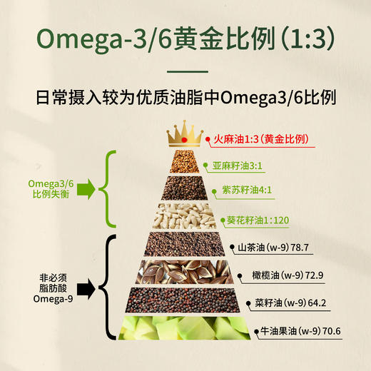 【東良福】火麻油 商品图4