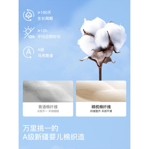 【E】likeuu儿童内裤纯棉女童礼盒红色本命年三角平角发育期学生男女童礼物（2条装） 商品图1