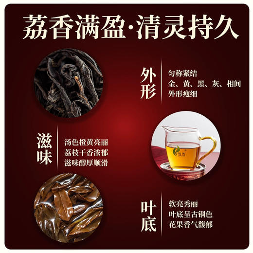骏德红茶 武夷山桐木关正山小种 特级妃子笑50g罐装口粮茶叶 商品图4