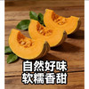 【MLT】新鲜半老北瓜  青皮黑皮  南瓜  老品种  软糯香甜  蔬菜 商品缩略图3