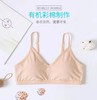 【女士内衣】素道有机彩棉 内衣文胸（基地直发-申通包邮），来自敦煌，品牌：素道【合作生产，公平贸易】 商品缩略图3