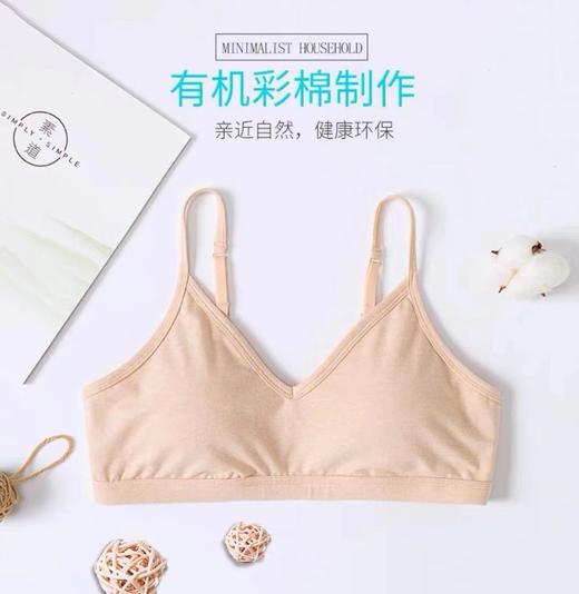 【女士内衣】素道有机彩棉 内衣文胸（基地直发-申通包邮），来自敦煌，品牌：素道【合作生产，公平贸易】 商品图3
