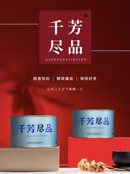 骏德茶业 武夷山桐木关正山小种特级50g罐千芳尽品茶叶伴手礼 商品图0