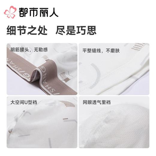 都市丽人内裤男士内裤60S木莱尔内裤人棉平角内裤明筋内裤FKCC15 商品图3