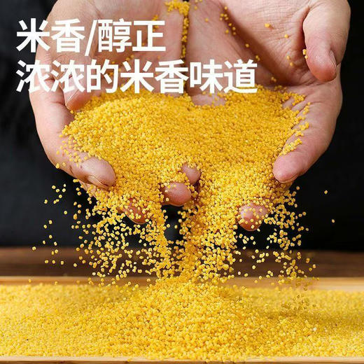 【MLT】黄小米  新年新米  米香  醇正  浓浓米香味道 商品图0