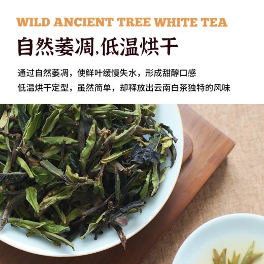 云南野生白茶|自然生晒 商品图2