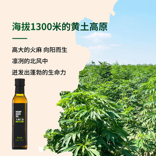 【東良福】火麻油 商品图3