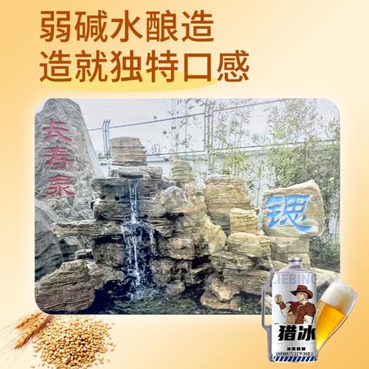 【猎冰精酿啤酒】弱碱水酿造，麦香爽口饱满，一饮难忘！ 商品图3
