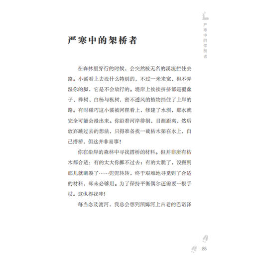 《特鲁申·北境森林奇旅》（全3册） 商品图14