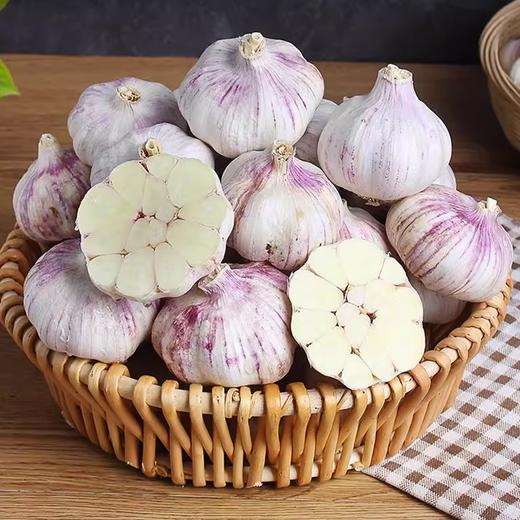 山东蒜头250g 单袋  ±10g 买放心菜就上瑞和泰 商品图0