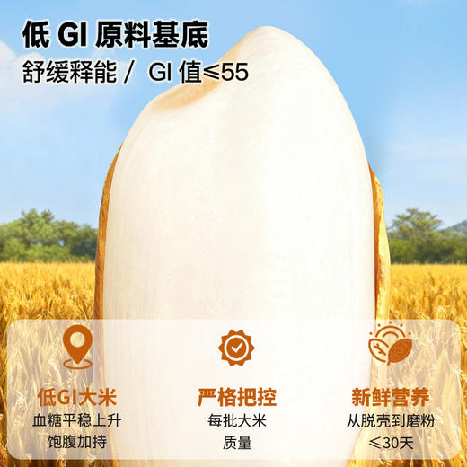 低GI葛根黄精猴菇山药粥300g（30g*10） 商品图1