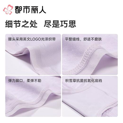都市丽人内裤女士内裤100支莫代尔内裤木代尔内裤纤柔绵内裤LKC5C2 商品图5