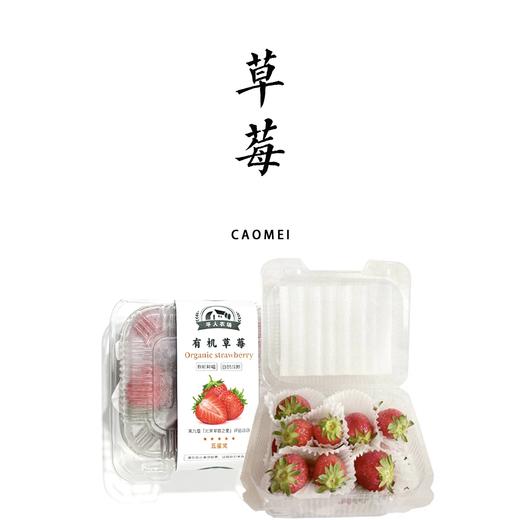 【经典装】平人有机草莓 400g 商品图1