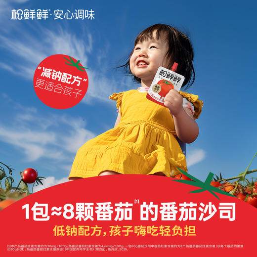 【fx】松鲜鲜番茄沙司60g 高营养不怕比 小包装更方便  0添加低钠配方，不额外添加盐，口感细腻，适合儿童佐餐食用！ 商品图0