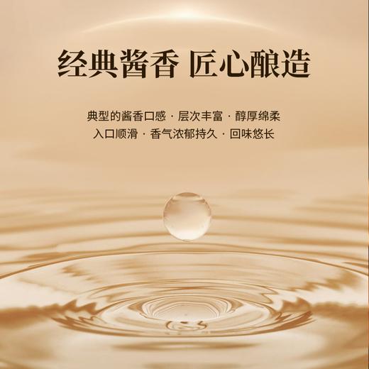 一价到底 【茅台集团·茅坛酒】茅台集团嫡系好酒，贵州茅台镇核心产区酿造，同宗同源，一脉相承，酱香醇厚，回味悠长!详情页领200券，一对装到手只要599元 商品图1