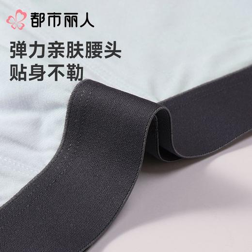 都市丽人内裤男士内裤80S莫代尔内裤莫代尔平角内裤贴合内裤FKCH13 商品图5