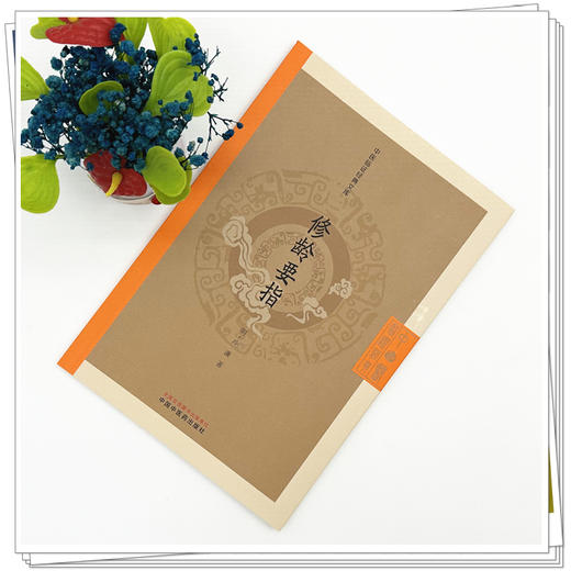 修龄要指 中医临证经典文库 明 冷谦 著 明清中医临证小丛书 古典医籍 医学书籍 临床医学 9787513293679 中国中医药出版社 商品图2