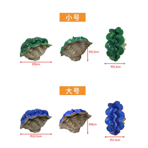 仿真砗磲摆件 商品图4