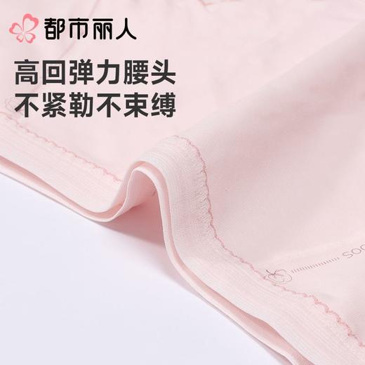 都市丽人内裤女士内裤100支棉内裤棉质内裤舒肤棉LKC5B6 商品图6
