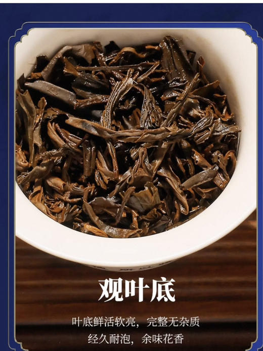 骏德茶业 武夷山红茶茶叶桐木关 正山小种小种野茶50g罐装 商品图1