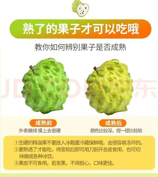 海南凤梨释迦｜热带冰淇淋果 商品图5