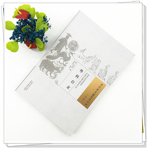 外科启玄 (明) 申拱辰 撰 (中国古医籍整理丛书:续编) 中国中医药出版社 商品图1