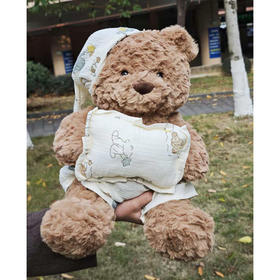 可爱中号抱枕熊毛绒公仔-纪念日百货门店同款168496257