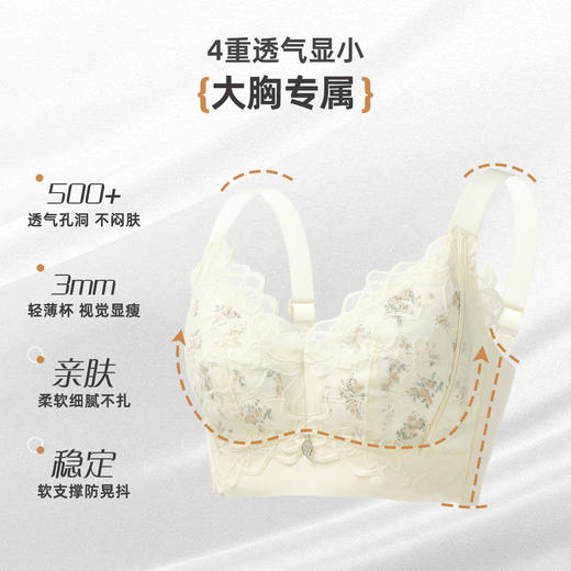 雅黛俪大胸显小显瘦性感蕾丝内衣透气洞洞杯轻薄款女士文胸罩 商品图5