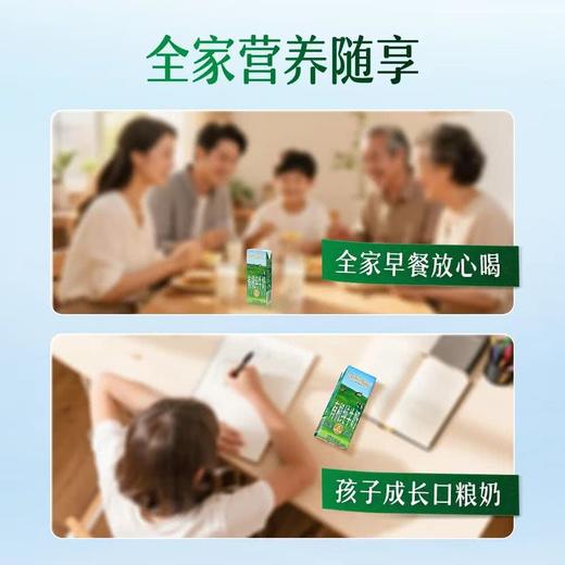 MM 山姆 柏菲兰 有机纯牛奶 200ml*28 商品图4