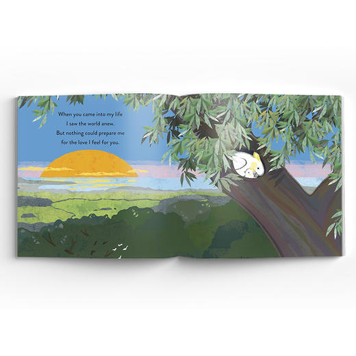 Emma Dodd's Love You Books 爱你系列 商品图3