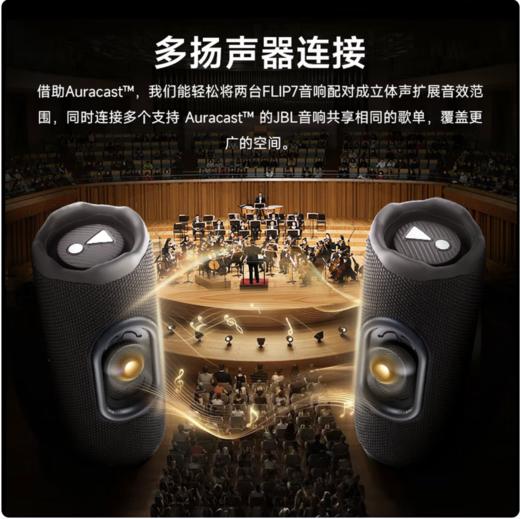 JBL FLIP7 音乐万花筒七代无线便携式蓝牙音箱户外防水低音炮音响 商品图4