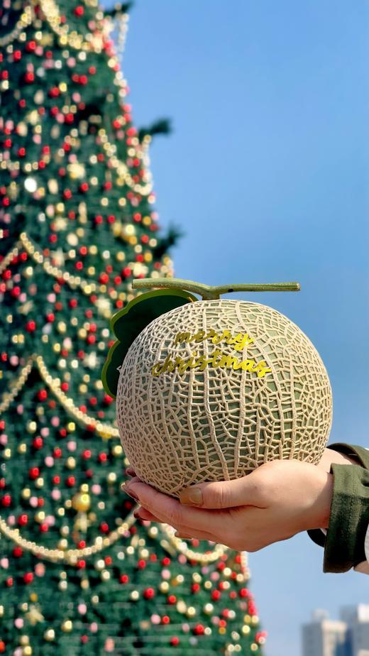 来自海南昌江静冈蜜瓜 原种引进 跨越山海 商品图5