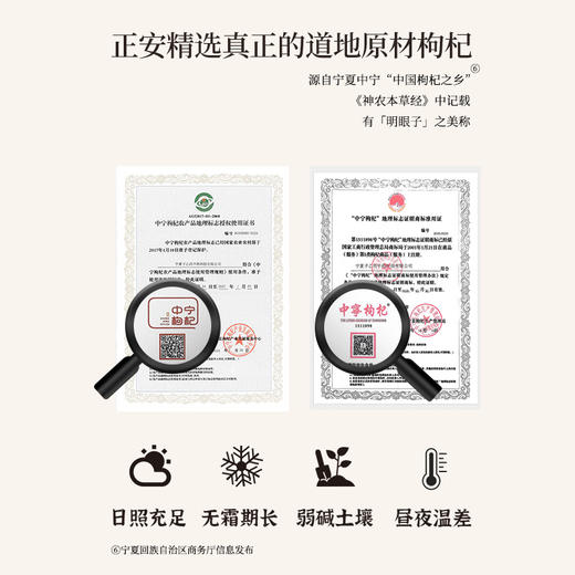 正安 宁夏枸杞 头茬大果自然干燥优质原材 眼睛目明味甘性平精力补充拒绝疲乏 泡水煲汤办公室茶饮家庭食材 枸杞250g/罐 商品图5