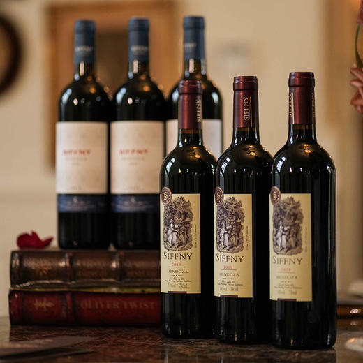 【西忽雷酒庄·塞西莉亚/蓝斯干红葡萄酒 】热卖中！！送海马刀！【阿根廷原瓶进口】14度干红 买2箱加送电动开瓶器！ 商品图1