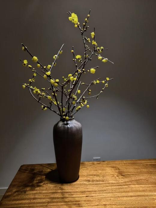 中国黄腊梅鲜切枝条一扎 商品图7