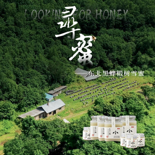 【咏礼记黑蜂椴树雪蜜】国家地理标识认证蜂蜜，奶油冰激凌口感固态蜜！ 商品图1