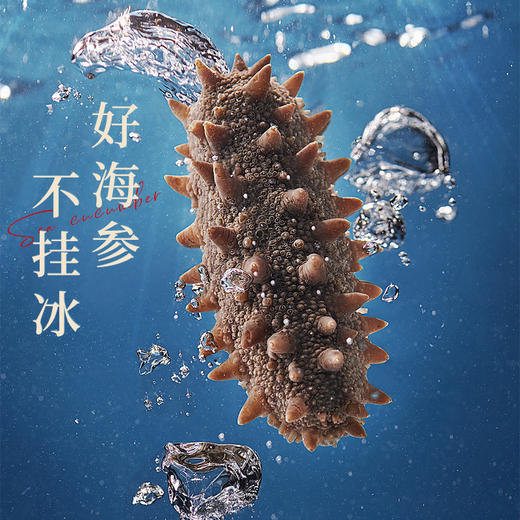 一价到底【咏礼记 大连辽刺参】四季温补 八珍之首 刺粗肉厚 开袋即食不挂冰海参 买2斤赠1斤 到手3斤 再送10袋鲍汁 买三组还送进口红酒两瓶（分开发货） 商品图1