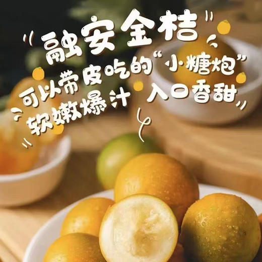 【脆皮金桔】果肉细腻多汁 一口爆汁大甜桔 膳食纤维丰富 3斤装 商品图1