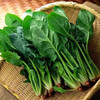 【MLT】新鲜菠菜  霜冻大叶菠菜  时令蔬菜  火锅必备 商品缩略图0